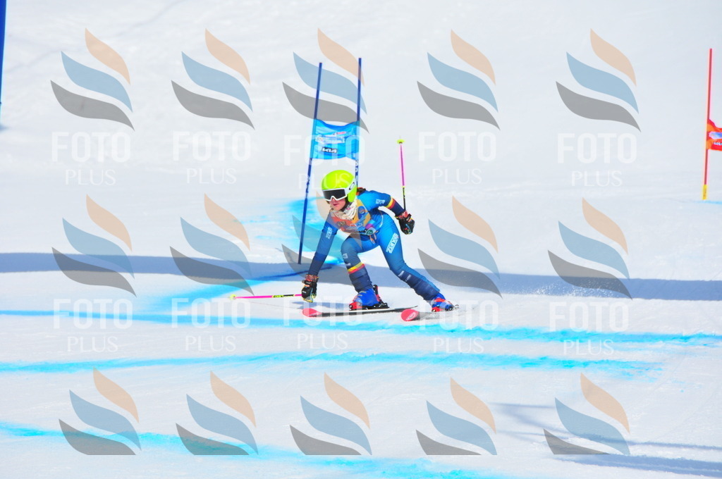 DSC_1411 | holidayphoto