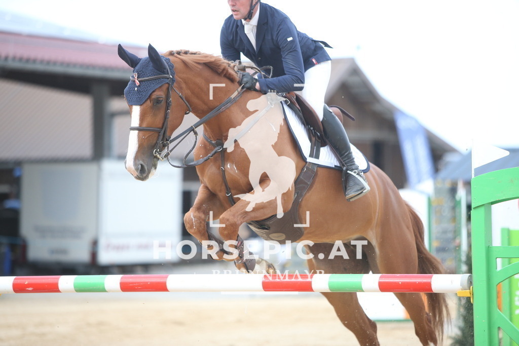 AS8V8286 | Willkommen bei Brunnmayr - Design & Fotografie – Ihrem Spezialisten für Reitturniere und Pferdeveranstaltungen in Oberösterreich, Salzburg und Bayern! Seit über 17 Jahren sind wir leidenschaftlich dabei.