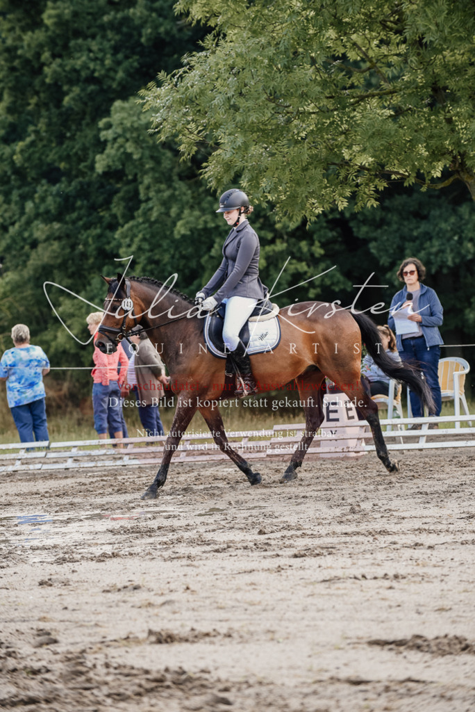 DSC_8324 | Pferde- und Turnierfotografie in Westsachsen. Pferdeportraits, Auftragszeichnungen und intuitive Kunst.