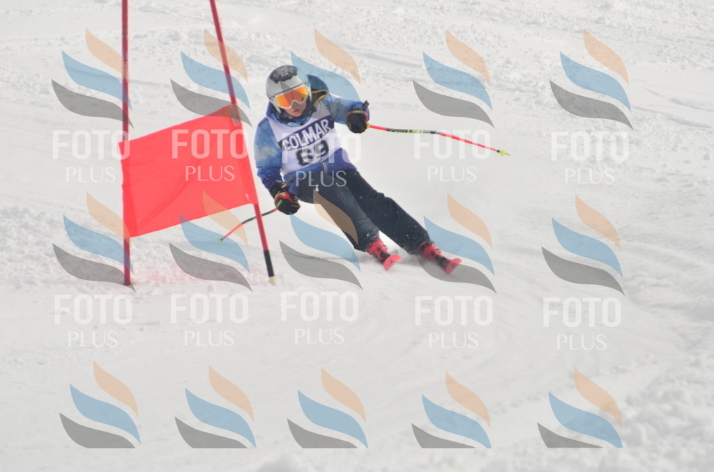 A5564 | holidayphoto