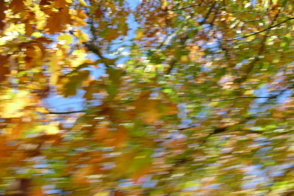P4020595 | Annaeherungen - Realisiert mit Pictrs.com