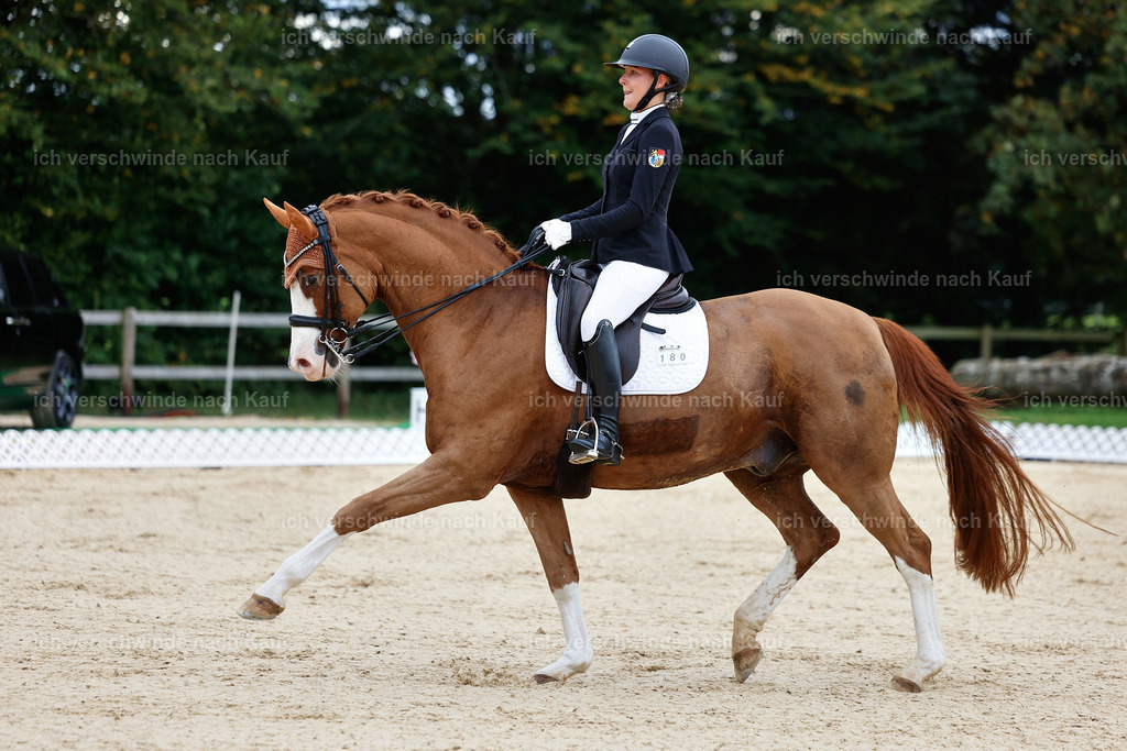 04_1-180-Dressur M__ -StoibPH-StoibPH-2637 | working equitationturnier fotograf videograf stoibphotography marixx film working equitation deutschland reitsport turnierfotografie eventfotografie equestrian events