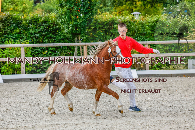 GK (180 von 759) | mandyhollmannphotographie