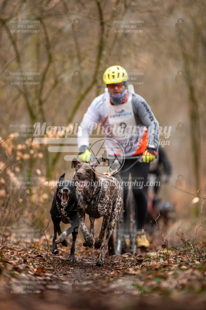 Reiat2023_SON_DS2_8km_2H-9 | PayLife
