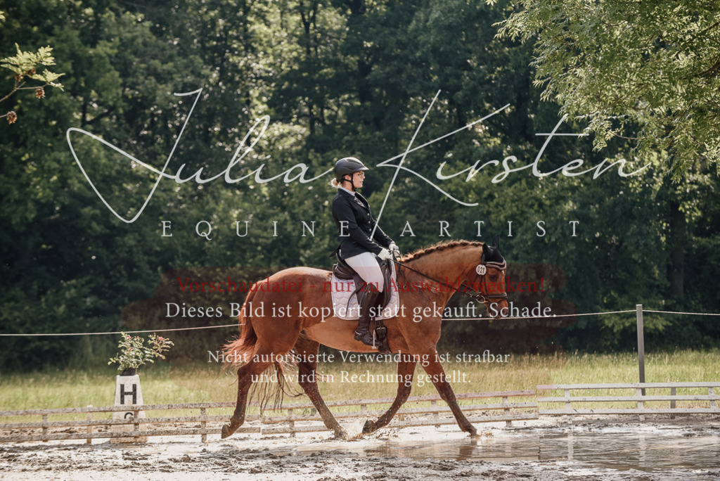 DSC_8948 | Pferde- und Turnierfotografie in Westsachsen. Pferdeportraits, Auftragszeichnungen und intuitive Kunst.