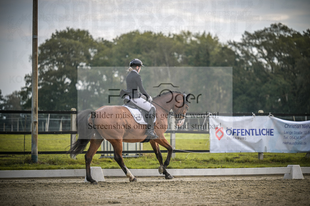 DOS_4160 | Entdecke hochwertige Reitturnierfotos von Foto Oger. Professionell, emotional und authentisch – jetzt Lieblingsmomente im Shop bestellen.Deutschlandweite Turnierfotografie. - Realisiert mit Pictrs.com