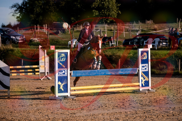 2026_10_03_Siefer-Hof_171751_Z81_15818521 | Professionelle Reitsport-, Turnier- und Eventfotografie von Robert Broda. Galerien mit ausgewählten und bearbeiteten Bildern direkt online ansehen und bestellen.