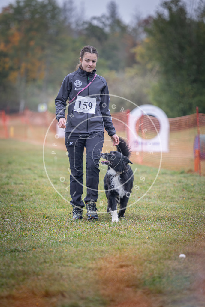 Pfotenfotografie_DV3A8742 | Hundefotografie, Tierfotograf, Pfotenfotografie, Fotoshooting Hund, Hunde Portrait, Hundesport, Hundeportraits, Heideshooting, Hunde, Sportfotograf, Hundefotograf, Turnierhundsport, THS,  - Realisiert mit Pictrs.com