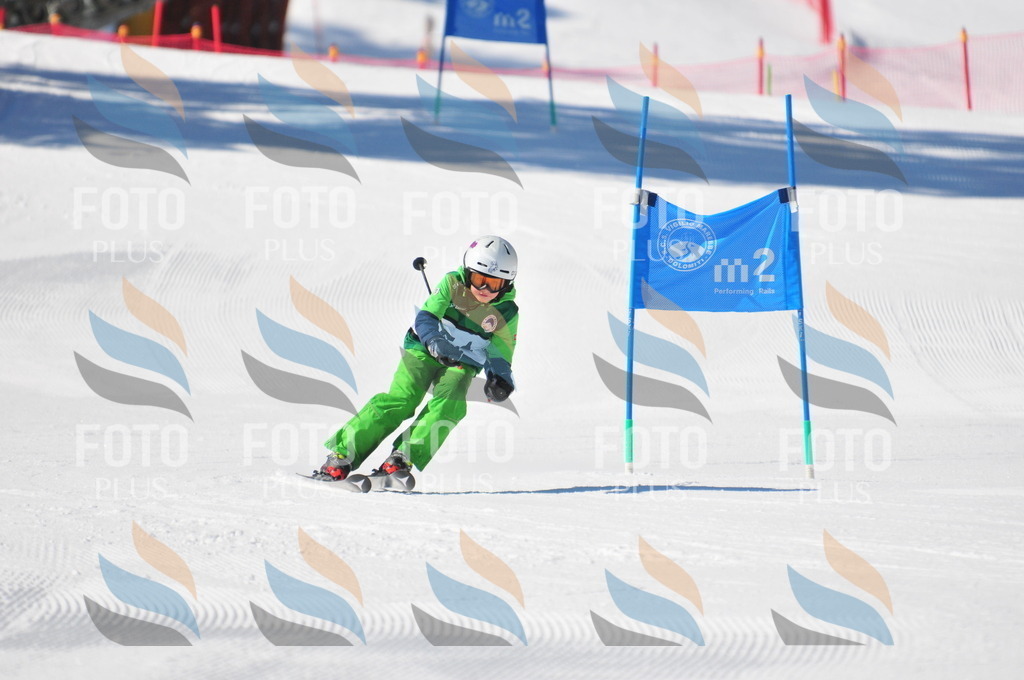 C2870 | holidayphoto