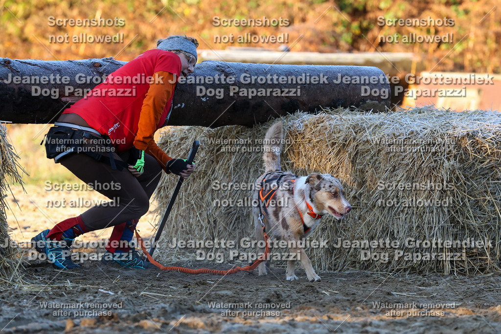 Dog Paparazzi - Strongdog 10-25-561 | Dog Paparazzi Jeanette Grottendiek Fotografie & Videografie - Realisiert mit Pictrs.com