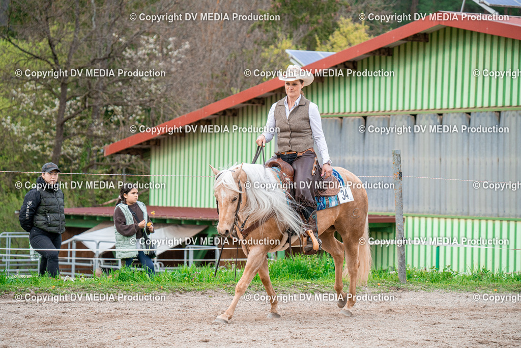 BA301022 | dv-media-shop - Realisiert mit Pictrs.com