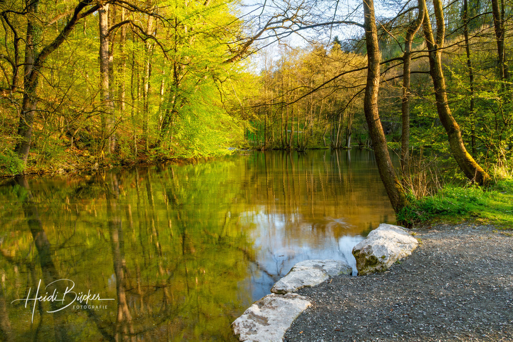 Almequellen bei Brilon | Almequellen bei Brilon - Realisiert mit Pictrs.com