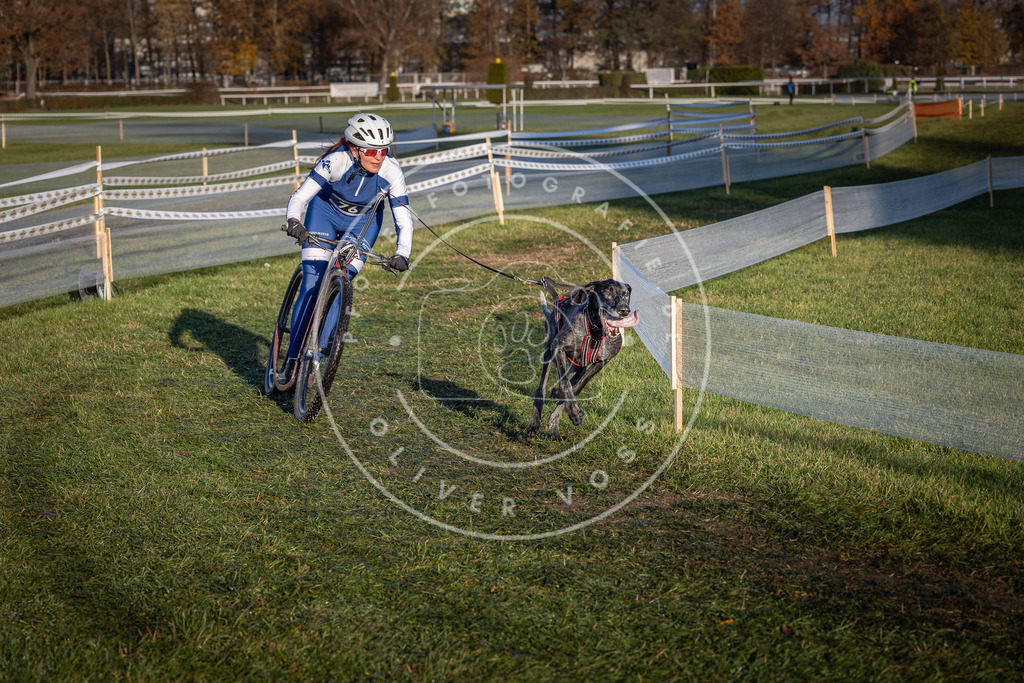 CaniXpix_0L8A3589 | Hundefotografie, Tierfotograf, Pfotenfotografie, Fotoshooting Hund, Hunde Portrait, Hundesport, Hundeportraits, Heideshooting, Hunde, Sportfotograf, Hundefotograf, Turnierhundsport, THS,  - Realisiert mit Pictrs.com