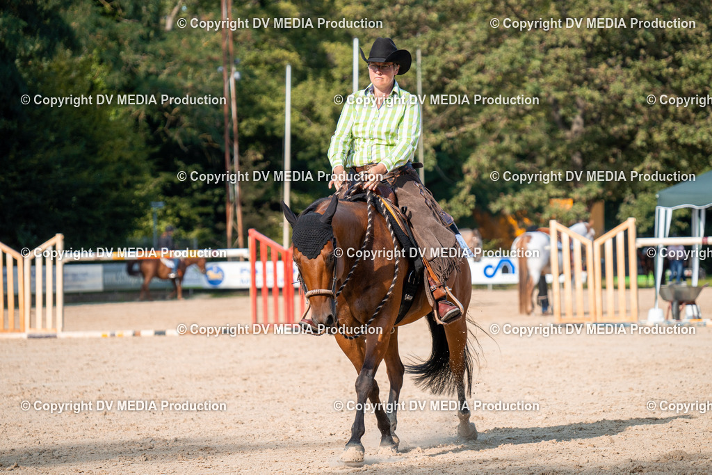 ZH100823 | dv-media-shop - Realisiert mit Pictrs.com