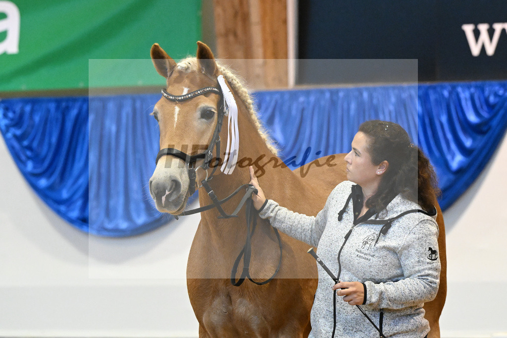 Kat-Nr. 239 Batari_Familie Herrmann_54222367 | hf-fotografie - Realisiert mit Pictrs.com