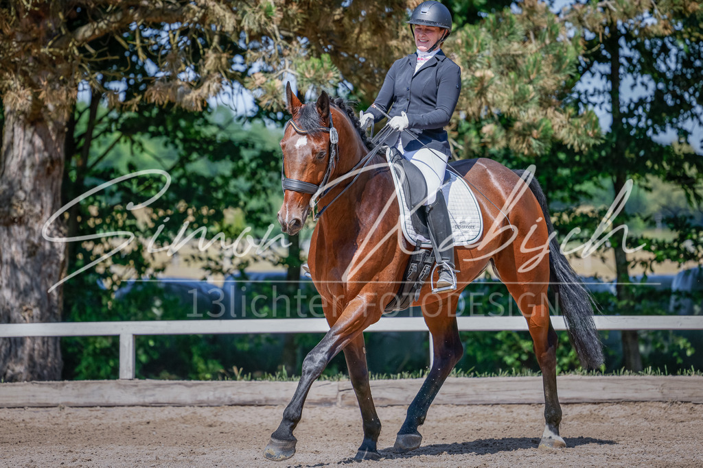 20250621-_3LI9681 | Tierfotografie Pferde, Hunde, Katzen, Haustiere.
Turnierfotografie Reitturniere, Reiten, Springreiten, Dressur in Hanau, dem Main-Kinzig-Kreis und dem Rhein-Main- Gebiet um Frankfurt