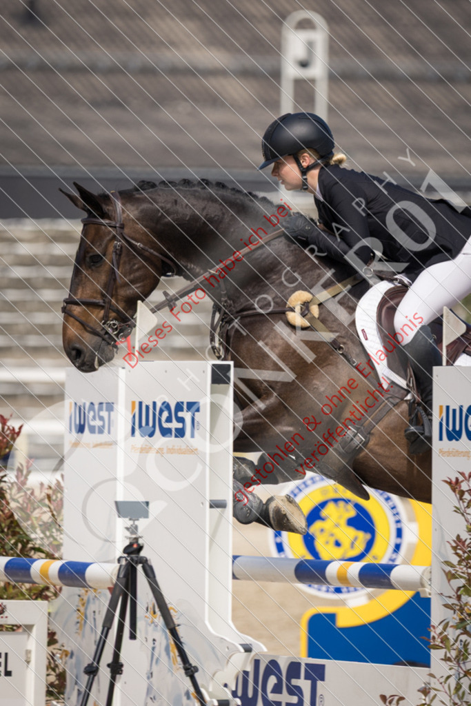 IMG_4878 | Sport-, Event- und Tierfotos in Profiqualität. Einfach auswählen, bestellen und herunterladen. Dein Moment – perfekt festgehalten.