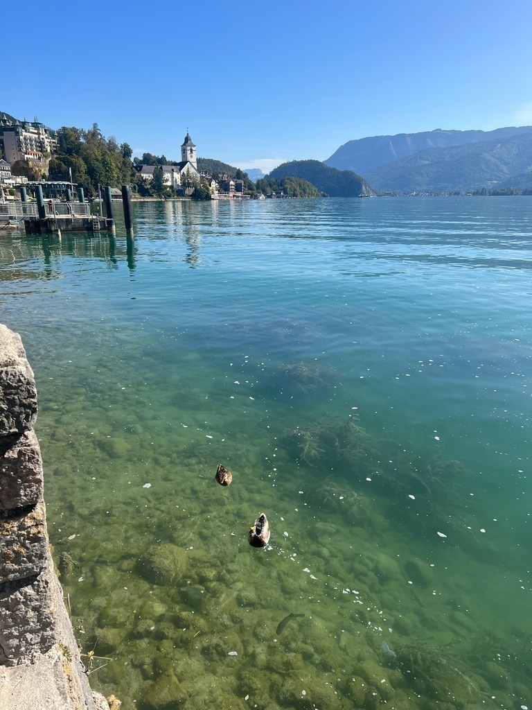 IMG_8704 | ace - Realisiert mit Pictrs.com