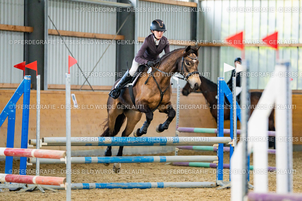 DSC00580 | Pferdegrafie