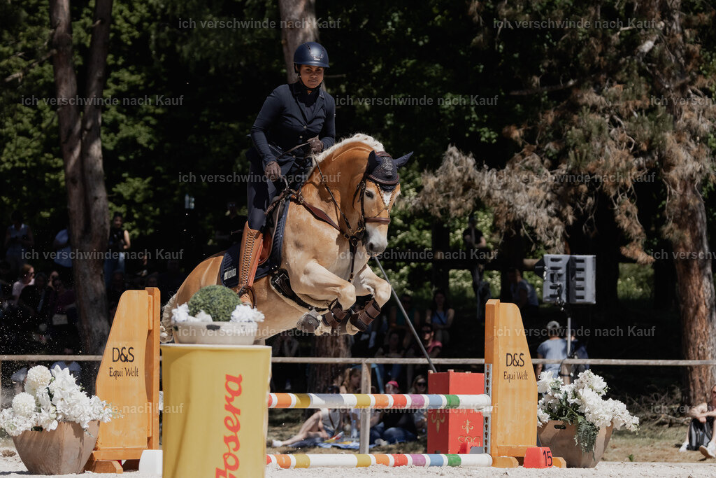 WE_SP_Stoib_308_PI2025_1609 | Pferd International München 2025