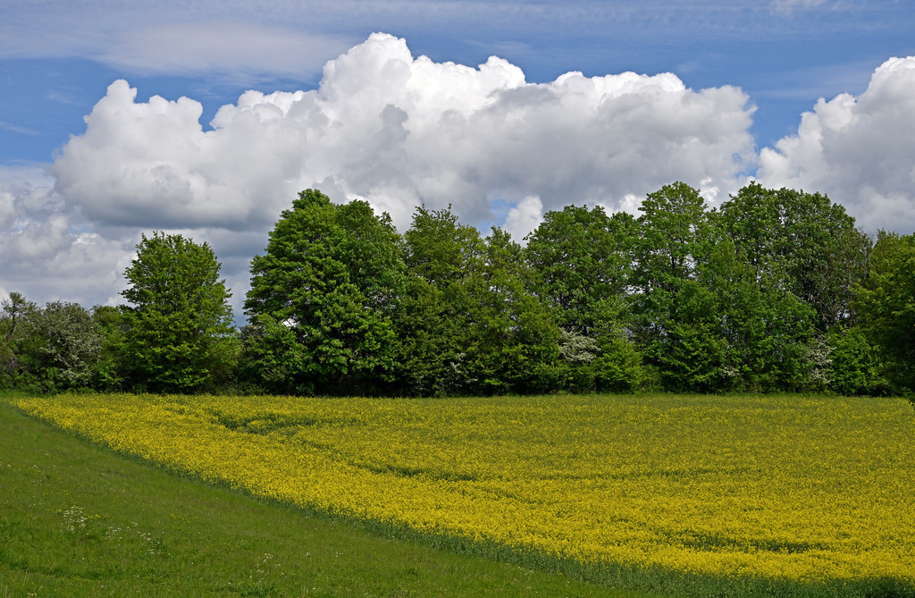 LandschaftNeubrunn03p-3 | lucisnaturbilder - Realisiert mit Pictrs.com