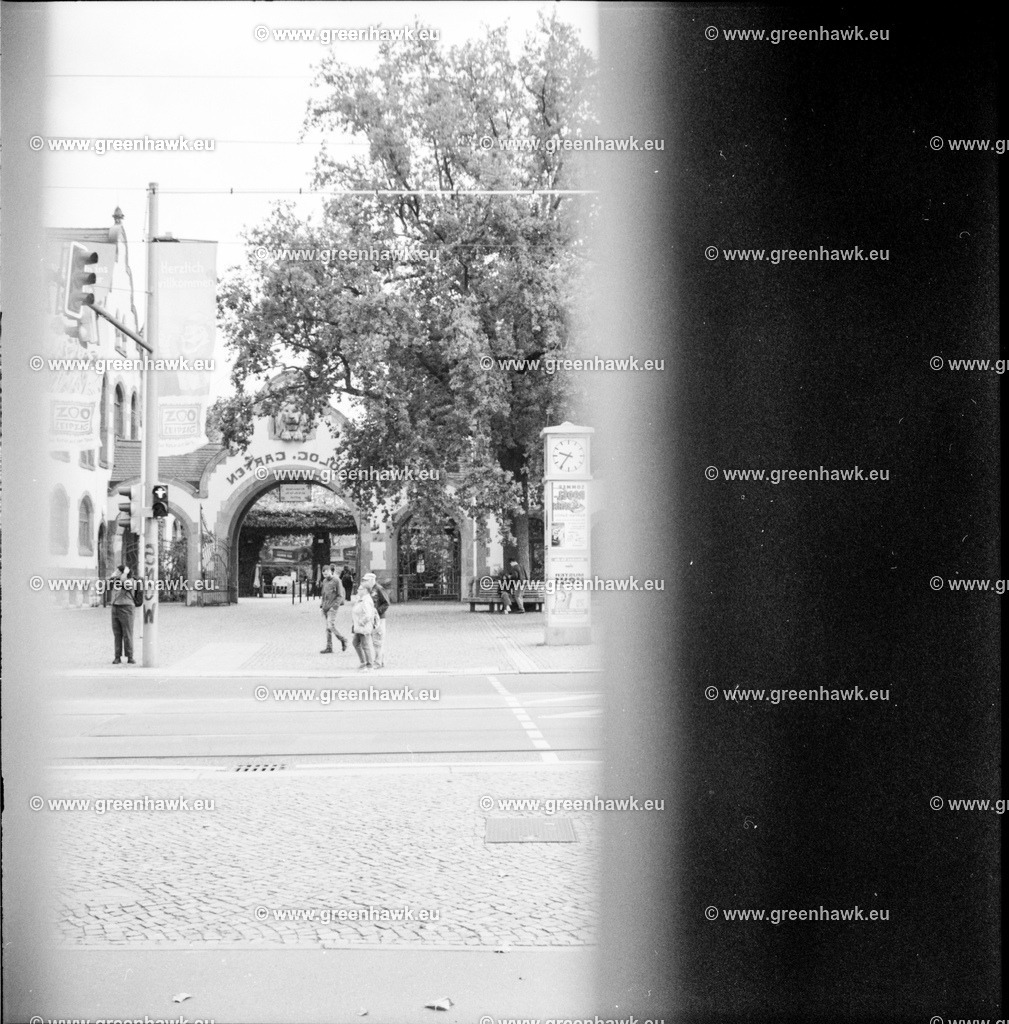 2025-10-09-0006 | Greenhawks Bilder Shop für Landschaften, Urban, Tiere und weiteres als Poster Leinwand oder Fotogeschenk für Ostern Weihnachten oder Geburtstag  - Realisiert mit Pictrs.com