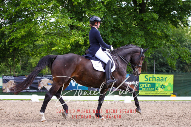 DKP41463 | Turnierfotos kaufen im Webshop von Daniel Kuhl Photography – entdecke professionelle Reitsportfotos aus Turnieren & Events. Hochwertige Turnierbilder online bestellen & sichern. Jetzt Fotos von Reitsportturnieren kaufen!