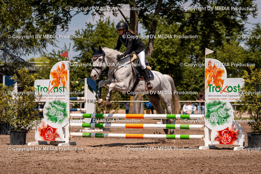 Eppelheim Tag 3-395 | dv-media-shop - Realisiert mit Pictrs.com