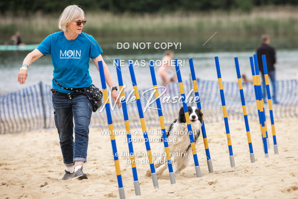 nelerasche_BuHu2026_So1330-1430_44 | nelerasche