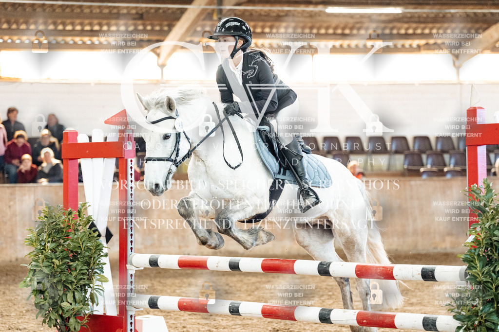 CK904830 | Turnierfotografie Pferdefotografie Trier Rheinland-Pfalz Pferdesport Reitsport Tierfotografie Sportfotografie Pferdevideo Pferdevideografie Equestrianvideography equestrianphotography  - Realized with Pictrs.com