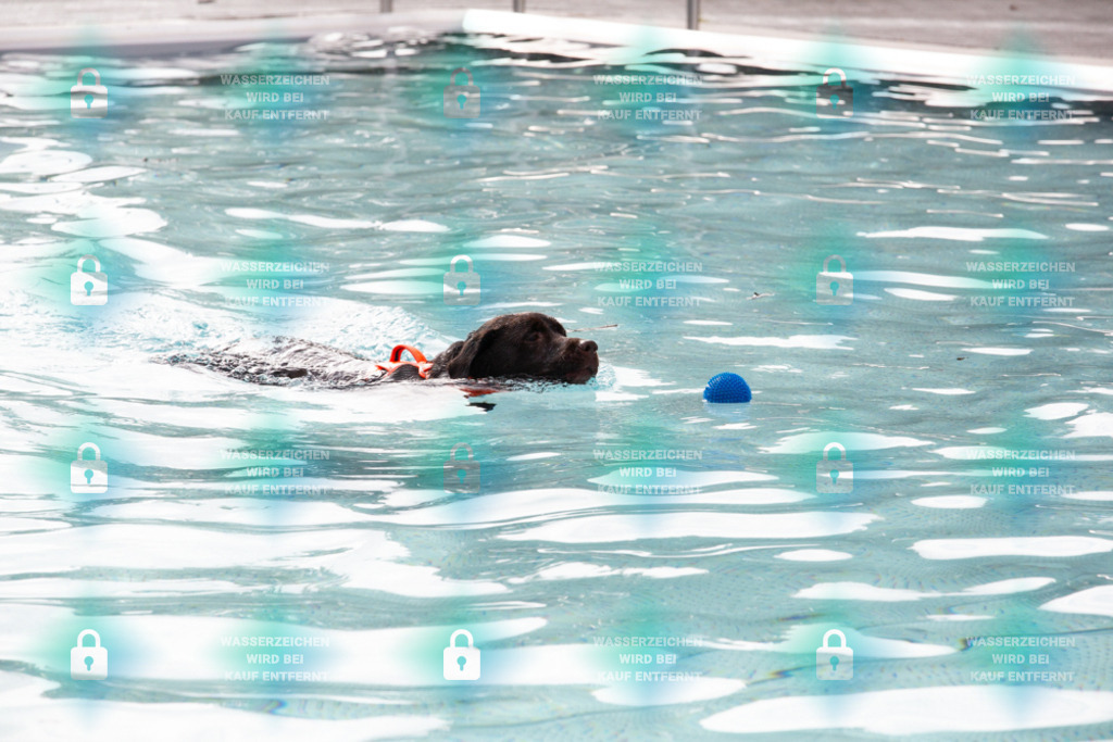 _HP_7585_1000o | HetPix, HetPix Fotodesign, Fotografie, Fotodesign, Webshop, Sportfotografie, Portraitfotografie, Onlineshop, Sportfotografie, Polch, Motorsportfotografie, Eventfotografie