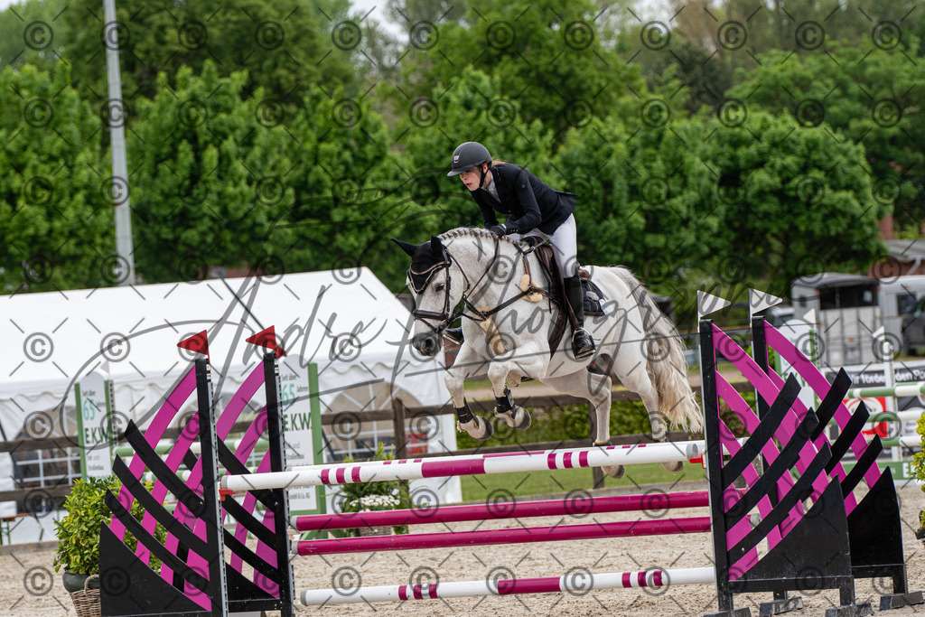 KPT_8533 | andre_photographic