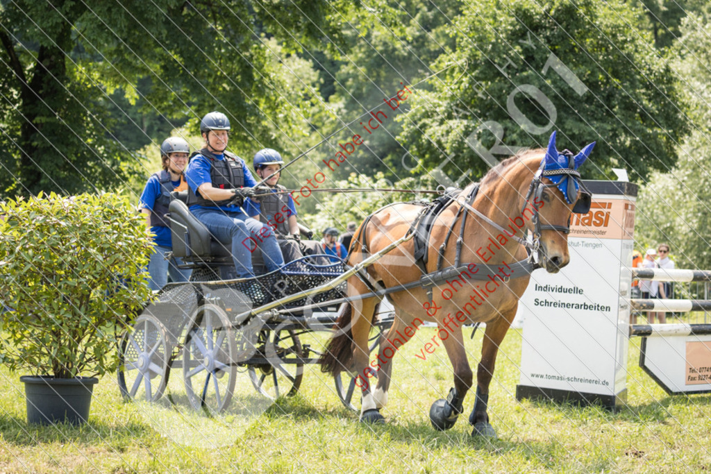 IMG_7983 | Sport-, Event- und Tierfotos in Profiqualität. Einfach auswählen, bestellen und herunterladen. Dein Moment – perfekt festgehalten.