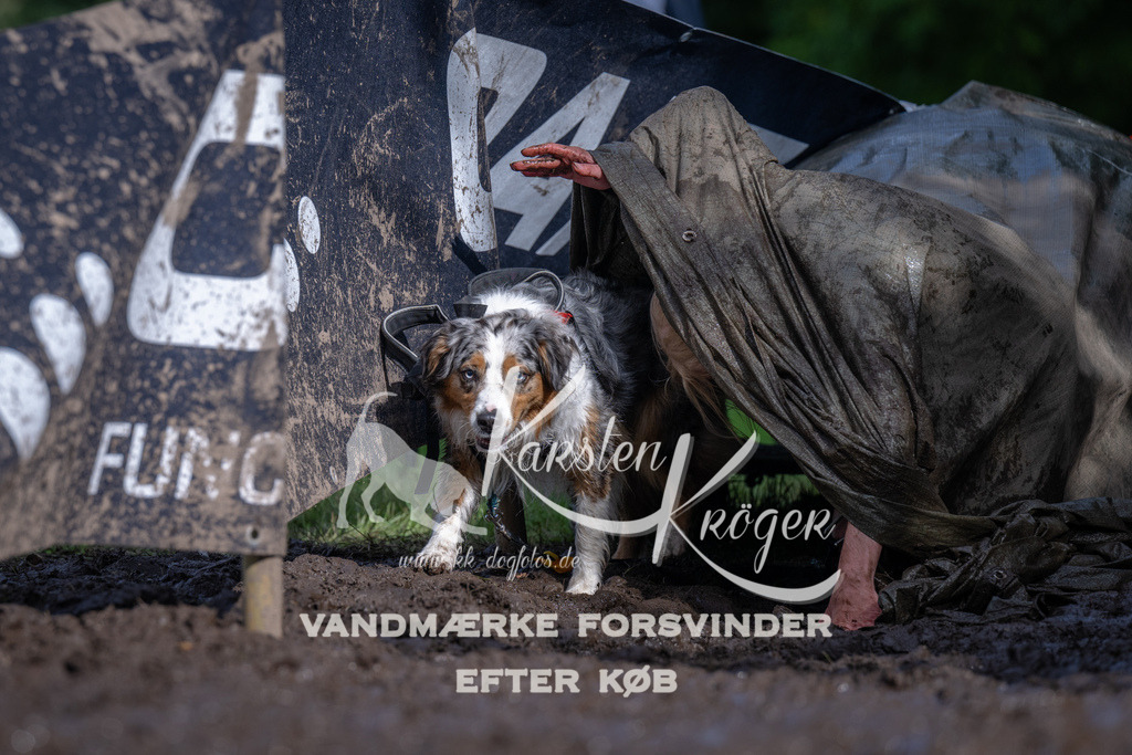 1703_ZZ90954 | kk-dogfotos