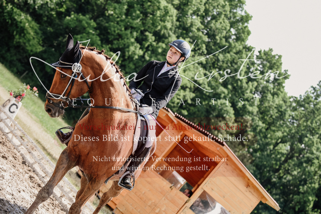 DSC_1421 | Pferde- und Turnierfotografie in Westsachsen. Pferdeportraits, Auftragszeichnungen und intuitive Kunst.