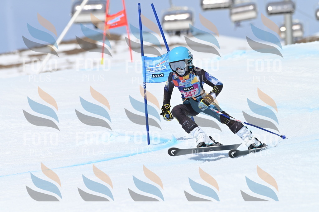 BGV_3582 | holidayphoto