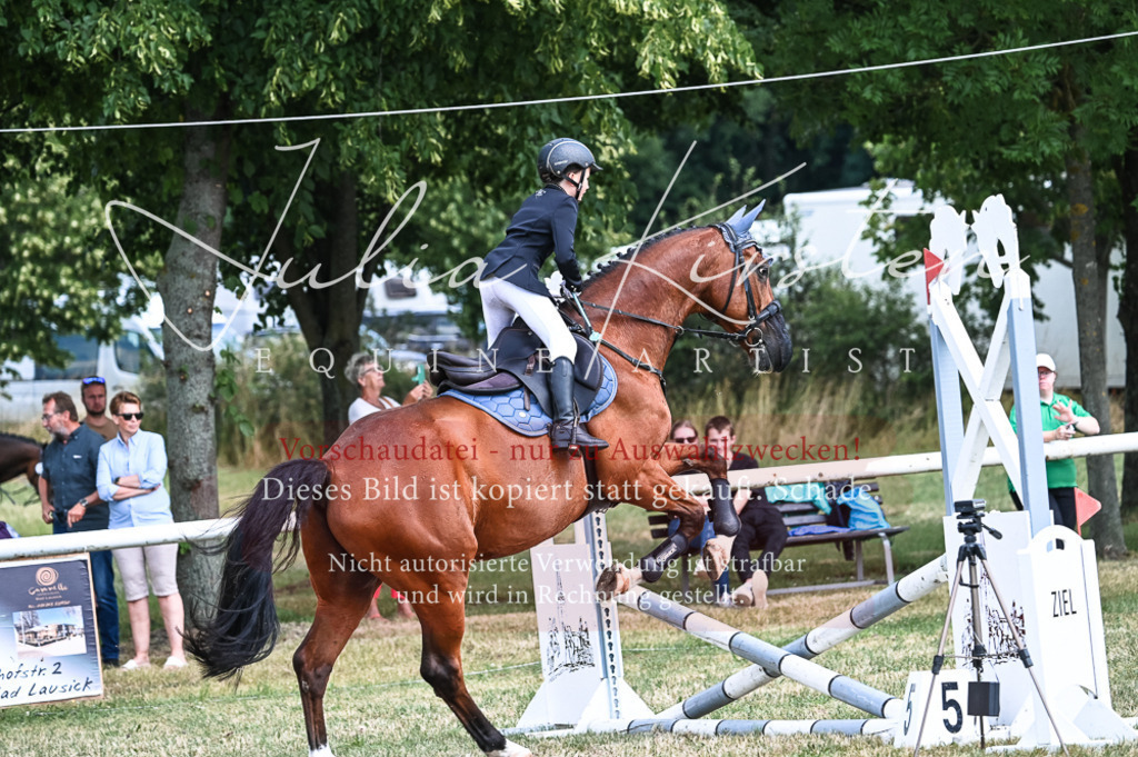 DSC_9693 | Pferde- und Turnierfotografie in Westsachsen. Pferdeportraits, Auftragszeichnungen und intuitive Kunst.