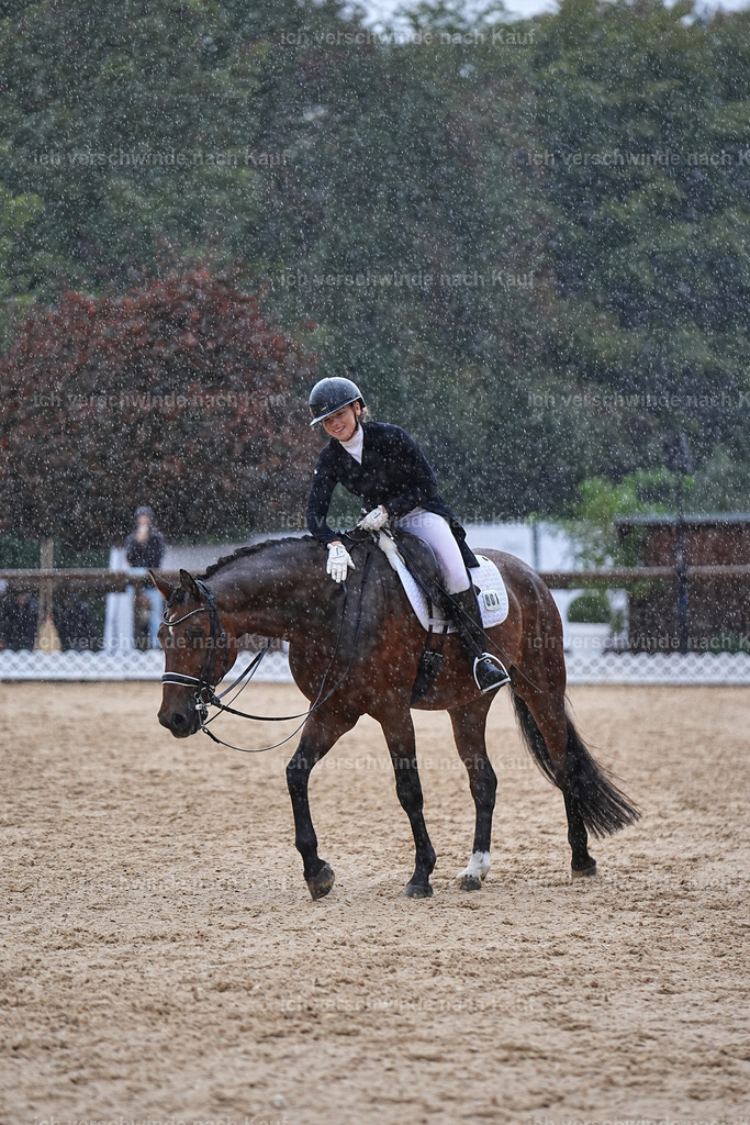 8_1-001-Klasse S_  -Marixx-4342 | working equitationturnier fotograf videograf stoibphotography marixx film working equitation deutschland reitsport turnierfotografie eventfotografie equestrian events