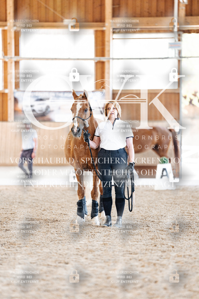 CK906616 | Turnierfotografie Pferdefotografie Trier Rheinland-Pfalz Pferdesport Reitsport Tierfotografie Sportfotografie Pferdevideo Pferdevideografie Equestrianvideography equestrianphotography  - Realisiert mit Pictrs.com