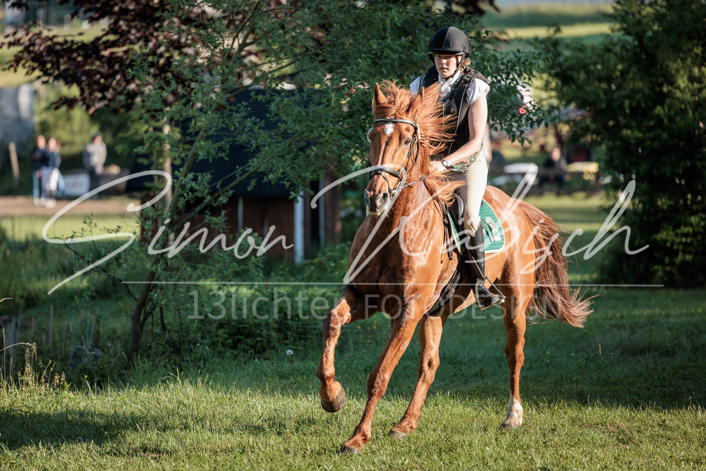 20260523-_3LI5880 | Tierfotografie Pferde, Hunde, Katzen, Haustiere.
Turnierfotografie Reitturniere, Reiten, Springreiten, Dressur in Hanau, dem Main-Kinzig-Kreis und dem Rhein-Main- Gebiet um Frankfurt