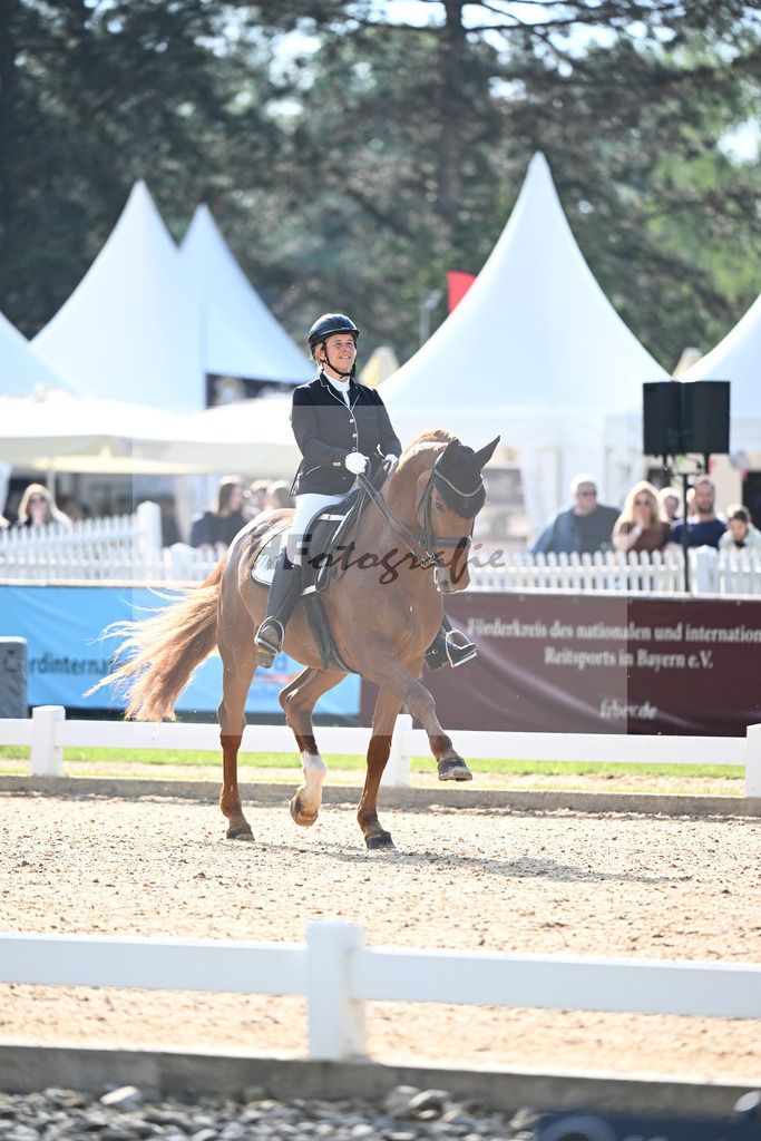 Hahn_Fathers Star just do it_12241438 | hf-fotografie - Realisiert mit Pictrs.com