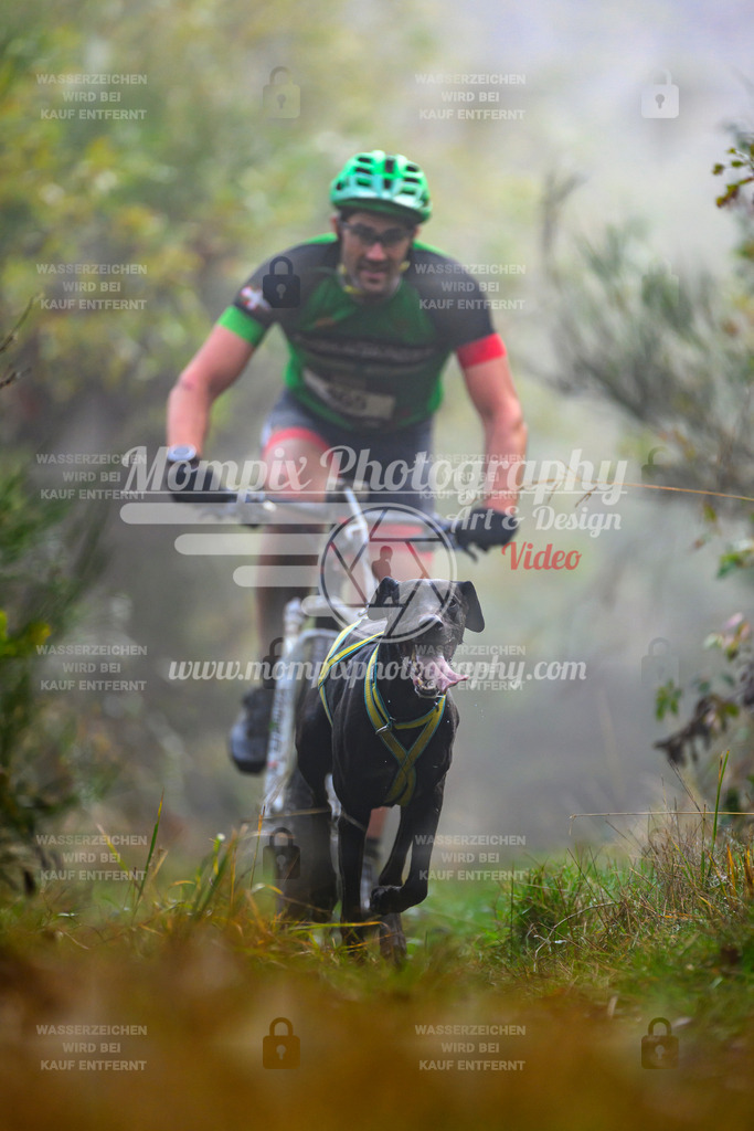 MompixPhotography_20TSB_E4_Bike-14 | PayLife
