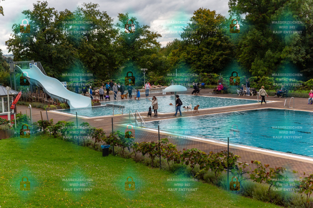 _HP_6032_1000o | HetPix, HetPix Fotodesign, Fotografie, Fotodesign, Webshop, Sportfotografie, Portraitfotografie, Onlineshop, Sportfotografie, Polch, Motorsportfotografie, Eventfotografie