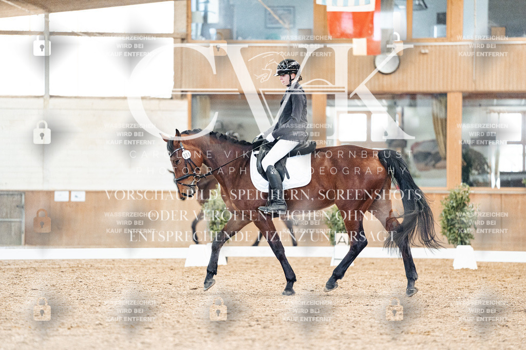 CK908677 | Turnierfotografie Pferdefotografie Trier Rheinland-Pfalz Pferdesport Reitsport Tierfotografie Sportfotografie Pferdevideo Pferdevideografie Equestrianvideography equestrianphotography  - Realisiert mit Pictrs.com