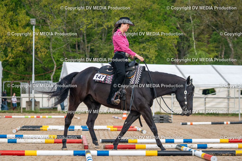 Heiligenwald Tag 1-45 | dv-media-shop - Realisiert mit Pictrs.com