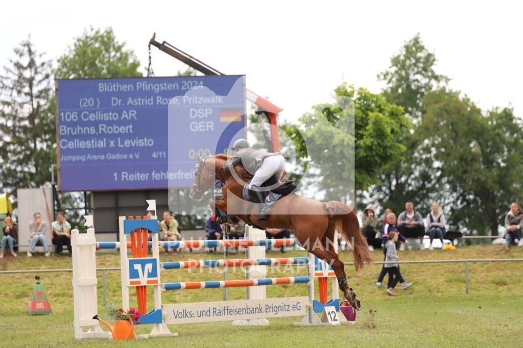 IMG_8891 | Pauline Ullmann Photography - Realisiert mit Pictrs.com