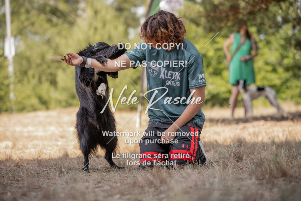 nelerasche_soDD2_326 | nelerasche
