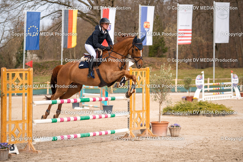 Kranichstein Tag 2-1613 | dv-media-shop - Realisiert mit Pictrs.com