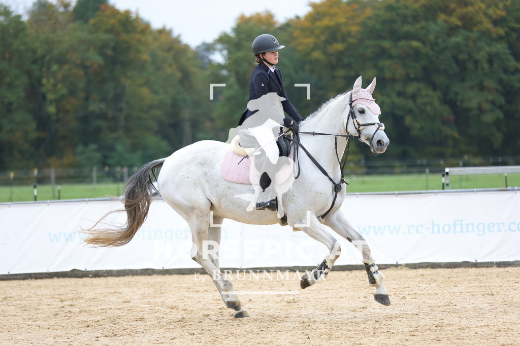 0P6A2363 | Willkommen bei Brunnmayr - Design & Fotografie – Ihrem Spezialisten für Reitturniere und Pferdeveranstaltungen in Oberösterreich, Salzburg und Bayern! Seit über 17 Jahren sind wir leidenschaftlich dabei.