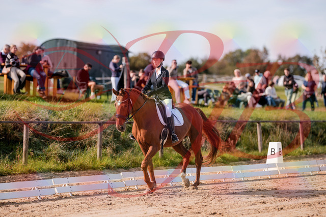 2026_10_03_Siefer-Hof_114014_Z81_82550397 | Professionelle Reitsport-, Turnier- und Eventfotografie von Robert Broda. Galerien mit ausgewählten und bearbeiteten Bildern direkt online ansehen und bestellen.